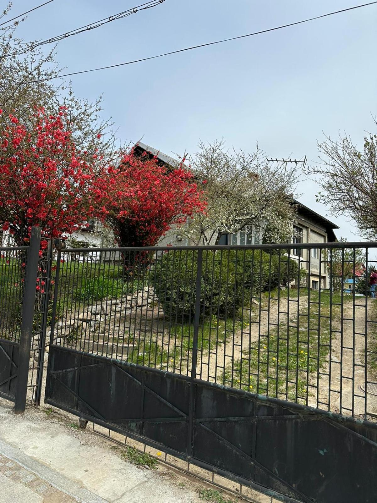 Curtea de Argeş Casa Eroilorヴィラ エクステリア 写真